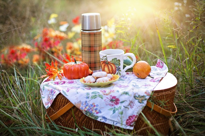 Autumn picnic with cookies and coffee