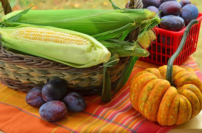 Corn, Plums, and Pumpkin on a Table