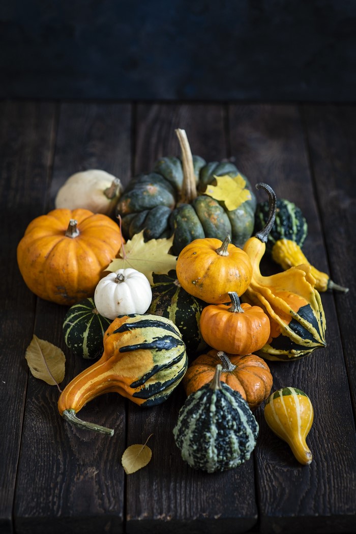 Assortment of pumpkins and gourds on wooden planks