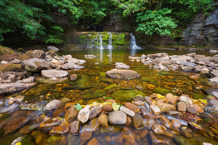 Waterfalls and rocks in a forest stream