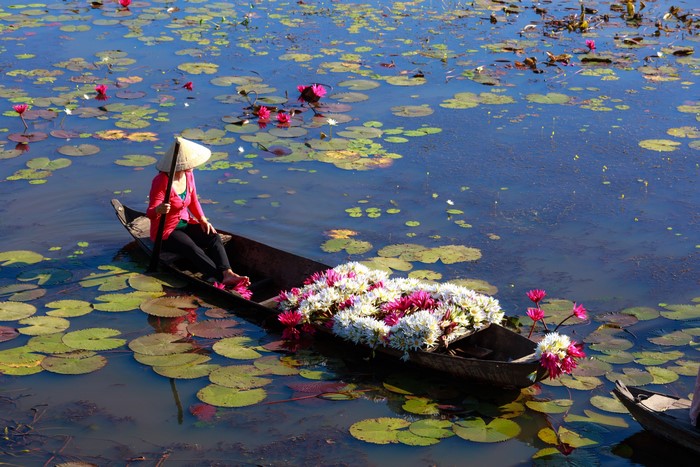 Woman in a boat with water lilies