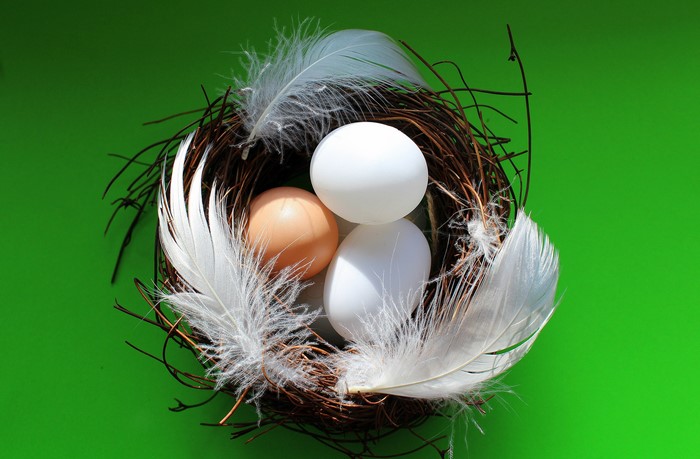 Nest with eggs and feathers on green background