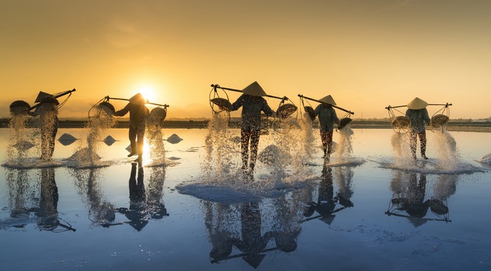 Salt harvesters working at sunrise in Asia