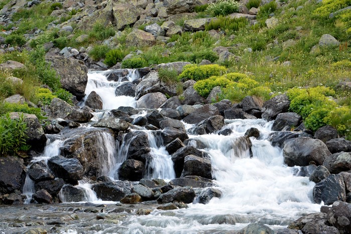 Rocky stream with green vegetation