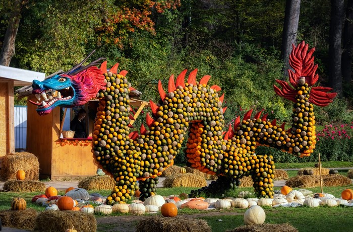 Dragon made of pumpkins at Ludwigsburg Pumpkin Festival, Germany
