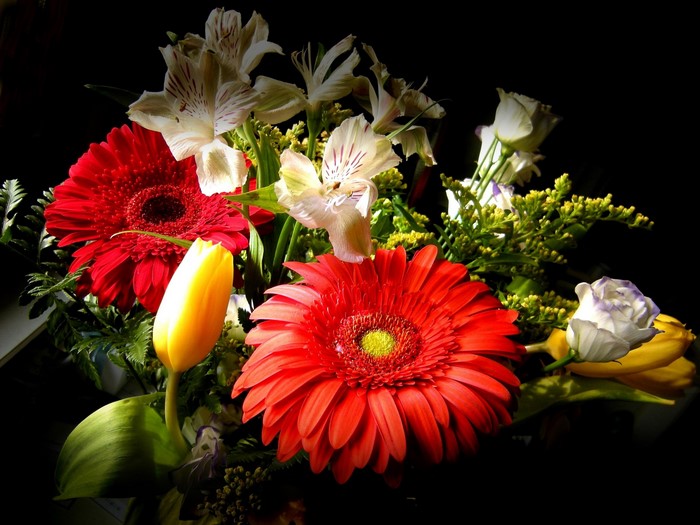 Bouquet of Gerberas, Alstroemeria, Tulips, and Eustoma