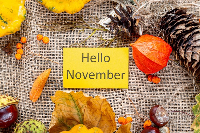 Physalis Hello November Autumn Arrangement
