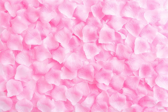 Pink Rose Petals Texture