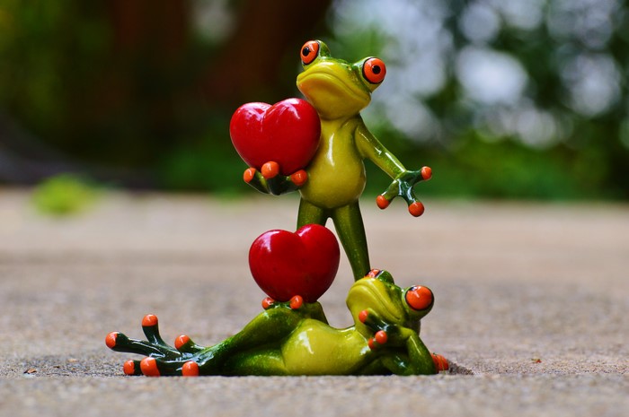 Two Frogs Holding Hearts