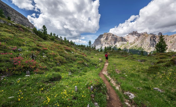 Tourist walking on a mountain trail with flowers