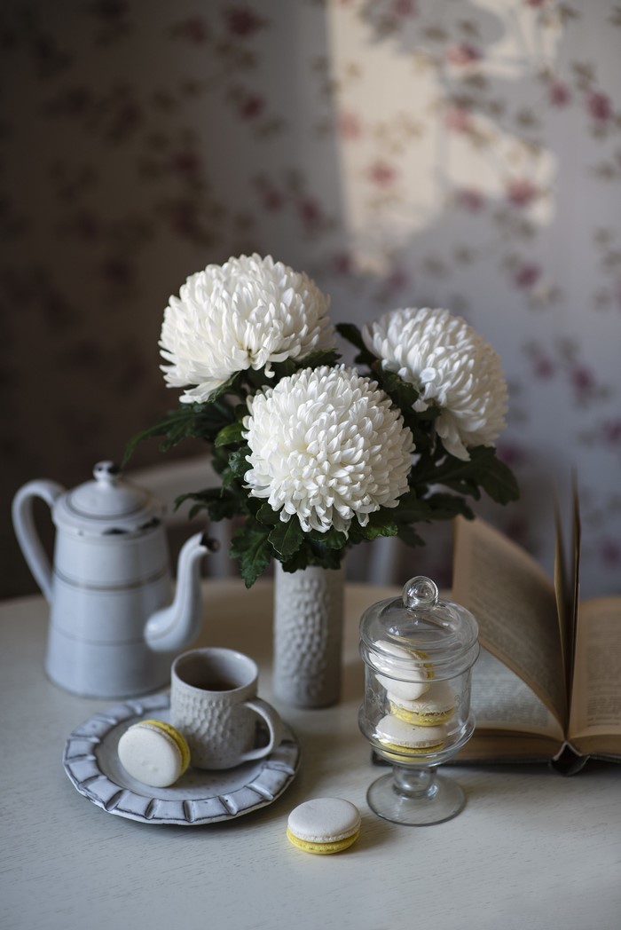 Still life with white chrysanthemums, tea set, and macarons