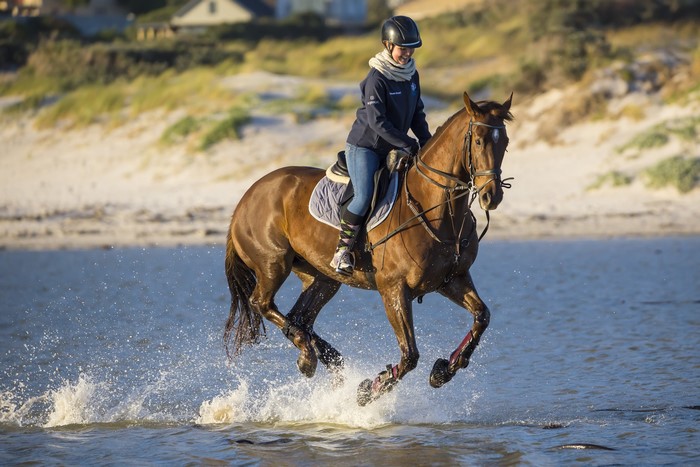 Woman riding a horse on a beach