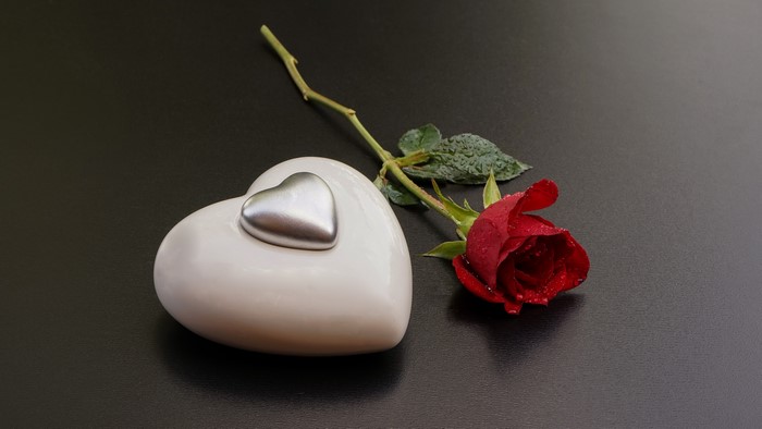 Red rose and heart on a gray background