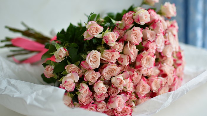 Bouquet of pink and white roses with pink ribbon