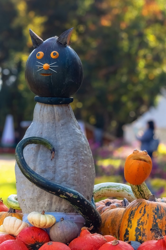 Creative Cat Sculpture at Ludwigsburg Pumpkin Festival