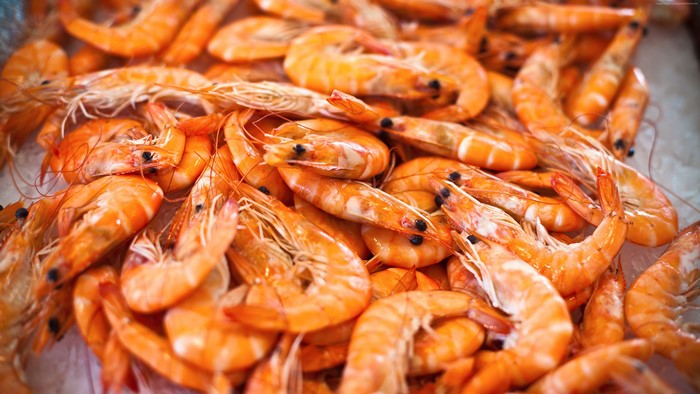 4K Shrimp Closeup