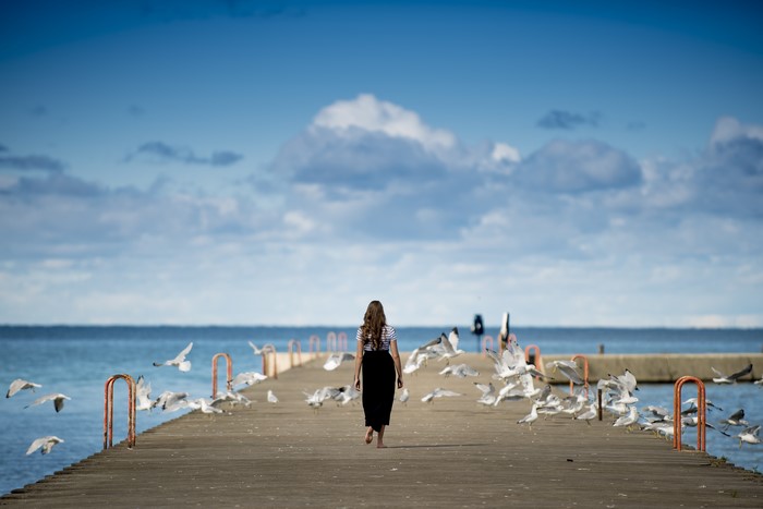 Woman walking on pier with seagulls