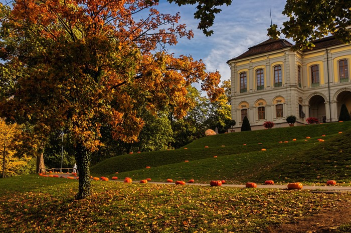 Autumn scene with pumpkins and a building in Ludwigsburg, Germany