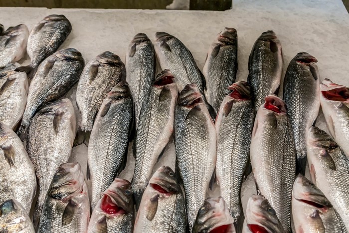 Fresh fish on ice at a market