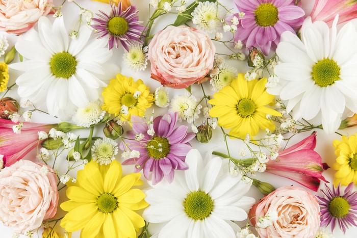 Roses, Chrysanthemums, and Alstroemeria flowers