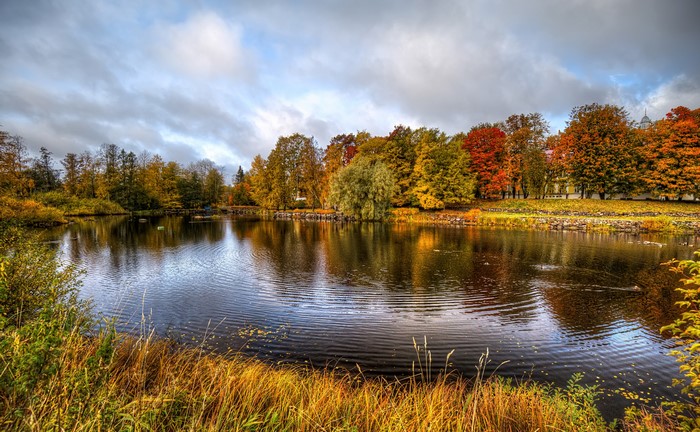Autumn landscape with a river and colorful trees in Priozersk, Russia