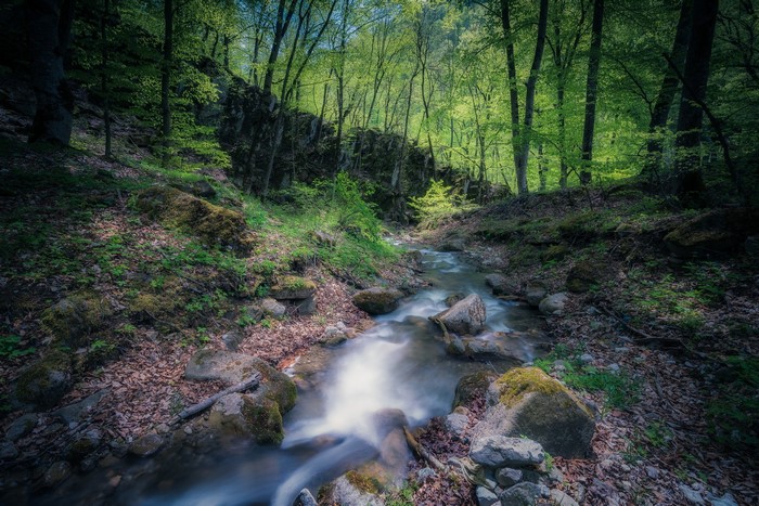 Serene Stream Flowing Through Armenian Forest