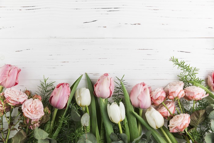 4K Pink Tulips and Roses on White Wood Planks