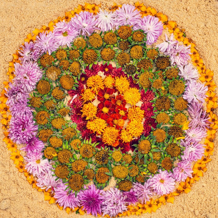 Flower mandala design with chrysanthemums and tagetes