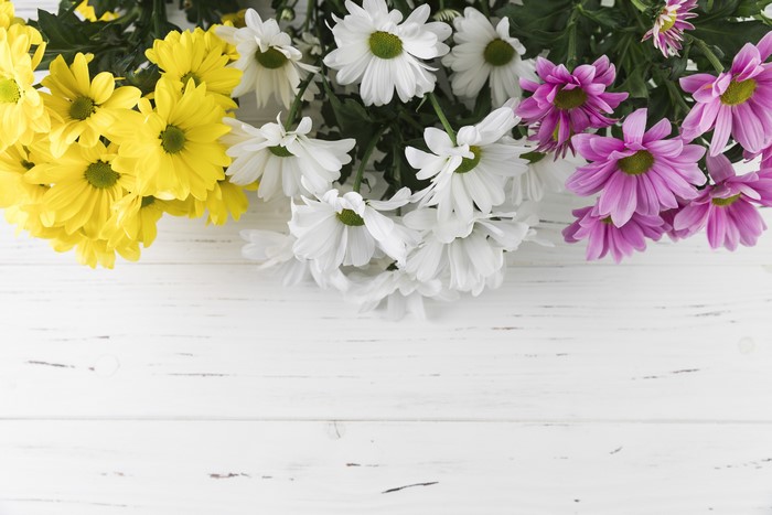 4K Multicolor Chrysanthemums Template Greeting Card