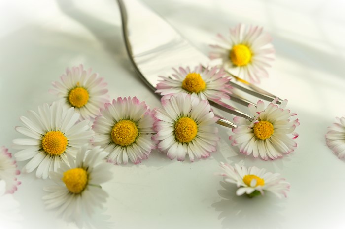 Daisies on a fork