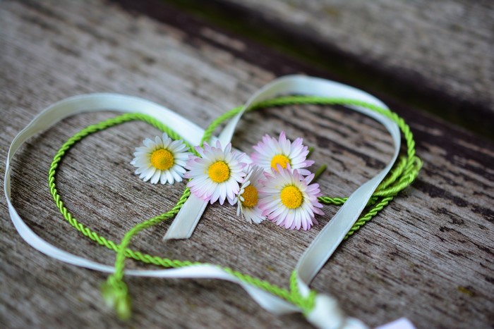 Daisies and ribbons forming a heart on wood