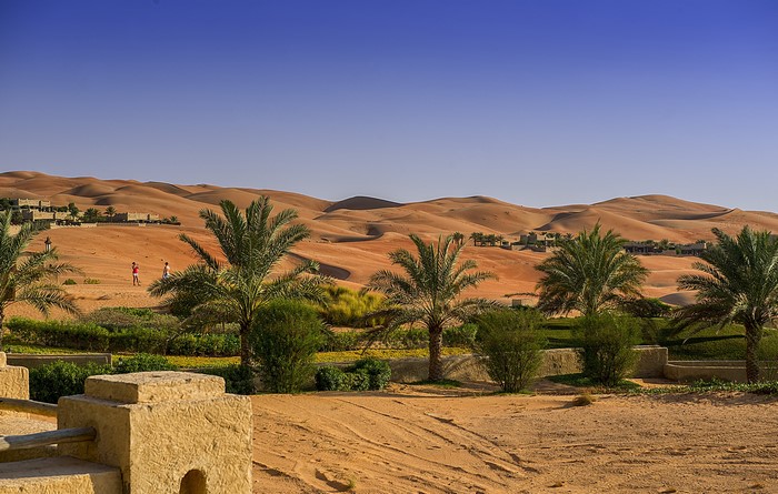 Desert landscape with palm trees and buildings in Abu Dhabi