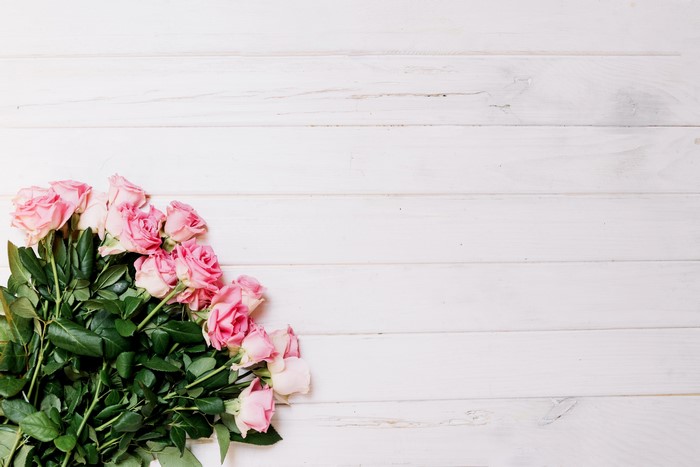 Pink Roses on White Wooden Background