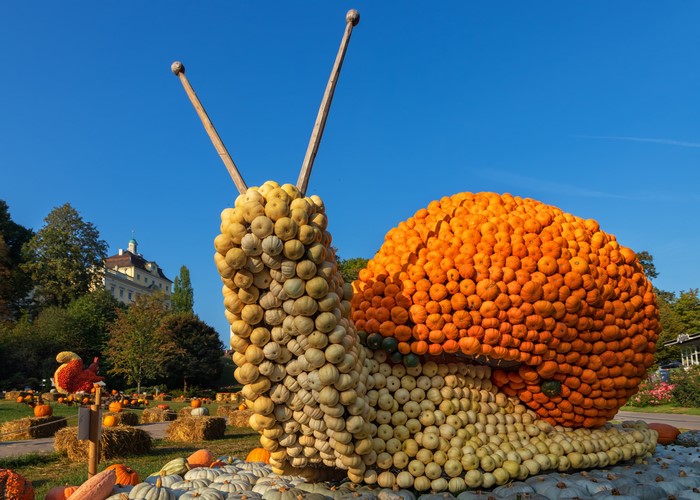 Giant Snail Sculpture Made of Pumpkins at Ludwigsburg Pumpkin Festival