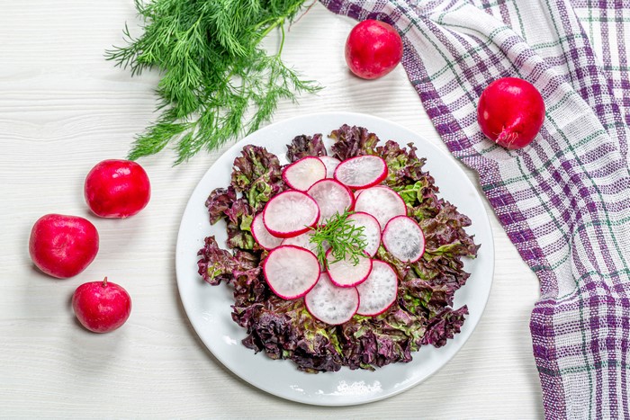 Radish and Lettuce Salad with Dill on Plate