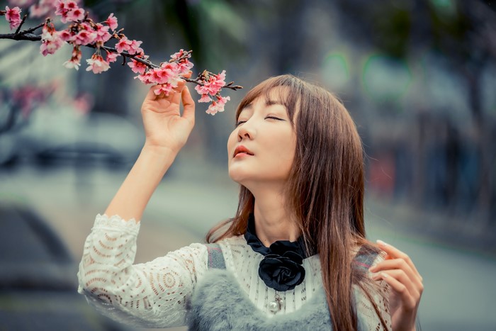 Asian woman smelling cherry blossoms