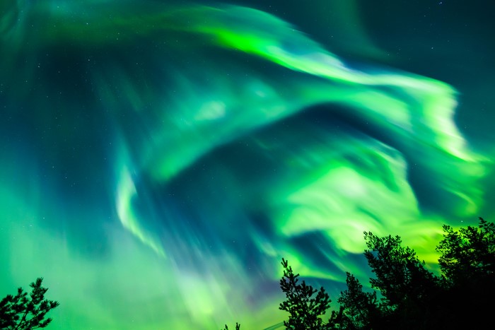 Green Aurora Borealis over Trees