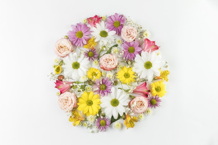 4K Chrysanthemums, Alstroemeria, Roses, Camomiles Design