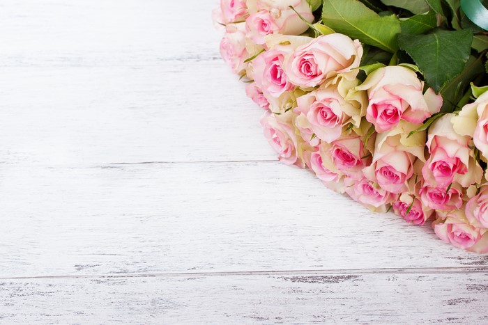 Pink Roses on White Wood Planks