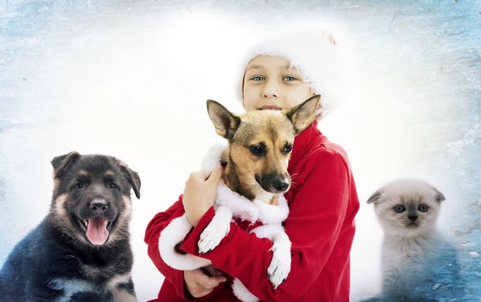 Christmas boy with dogs and kitten