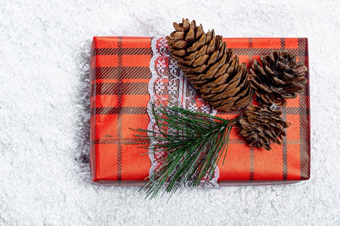 Christmas gift with pine cones and pine branch