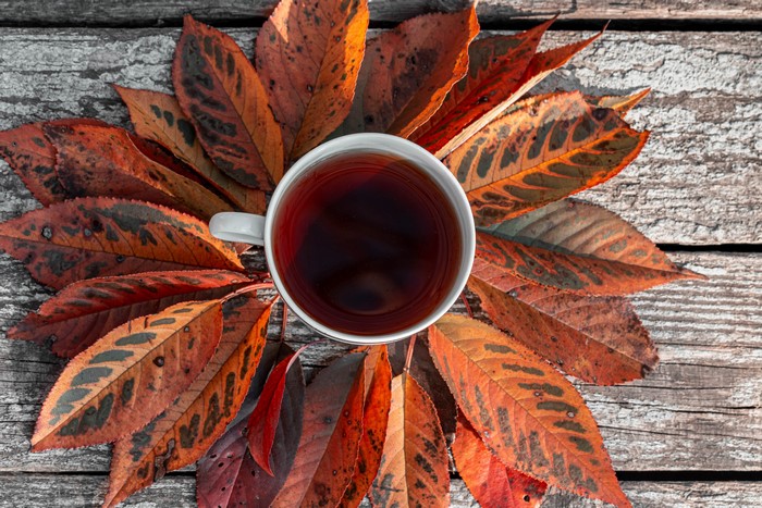 Cup of tea surrounded by autumn leaves on wood
