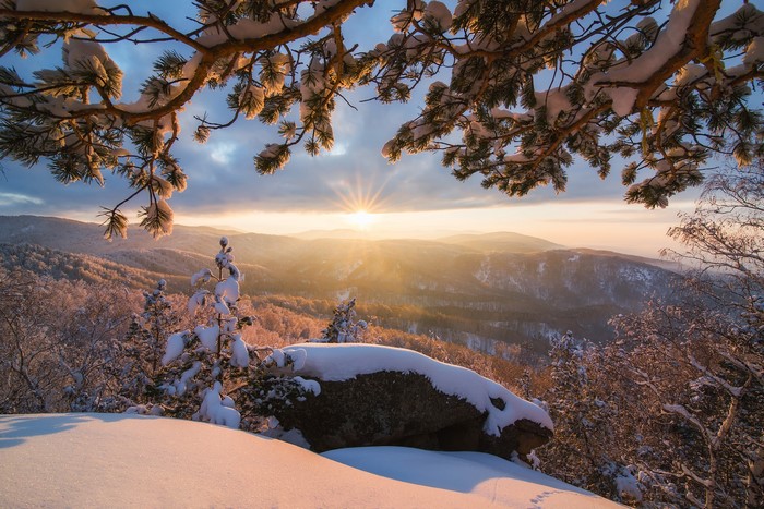 Winter sunrise over snow-covered mountains with pine branches