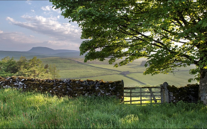 Stone wall and gate in a green landscape