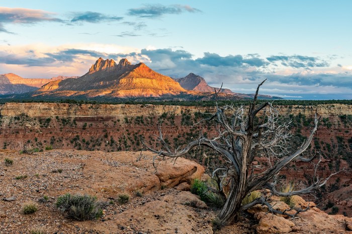 Zion National Park Mountains at Sunset