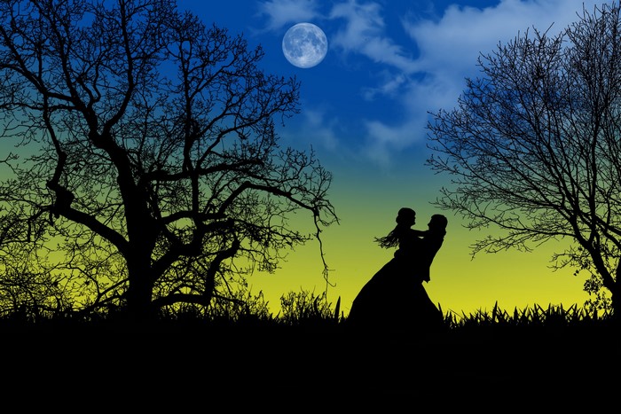 Moonlit Night with Silhouetted Lovers and Trees