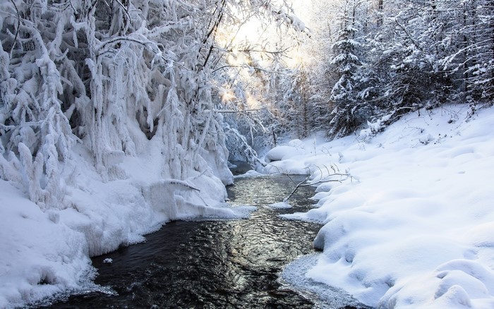 Winter stream with snow-covered trees and sunlight