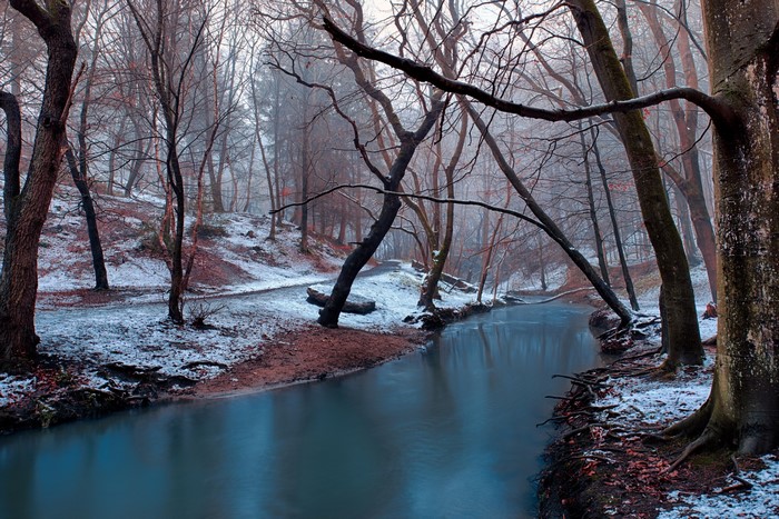 Winter forest with a river and snow