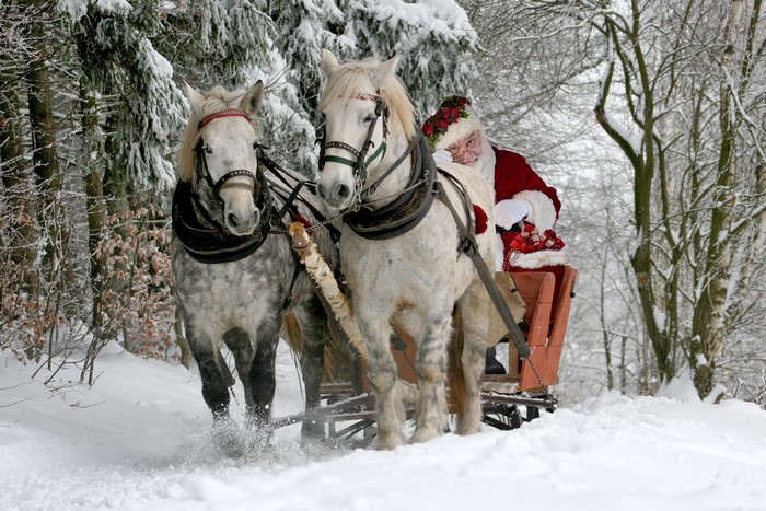 Santa Claus riding a sled pulled by two horses in a snowy forest