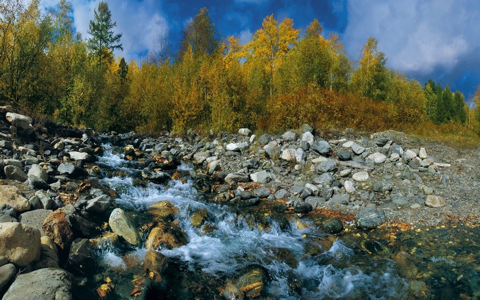 Autumn stream flowing over stones with colorful trees